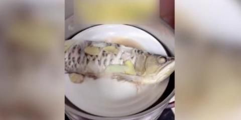 龍魚眼睛發白身上掉磷片：龍魚眼睛發白怎么辦