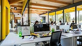 參股金龍魚(yú)的上市公司