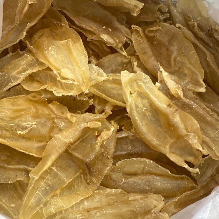 綠底紅龍魚什么品種好養：如何正確飼養綠底紅龍魚