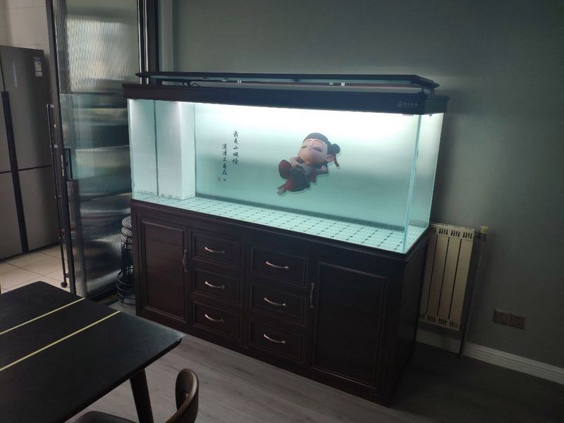 沉木對龍魚的具體尺寸要求