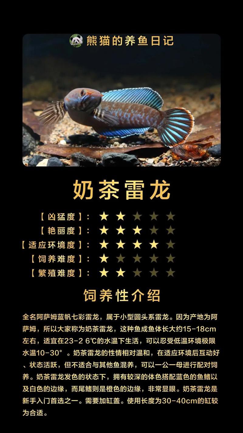 和雷龍魚差不多的魚有哪些圖片