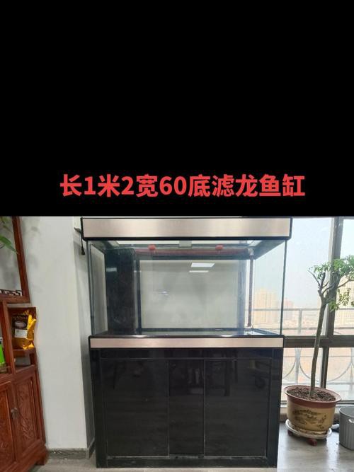 紅龍魚頭像尺寸過小會怎樣？