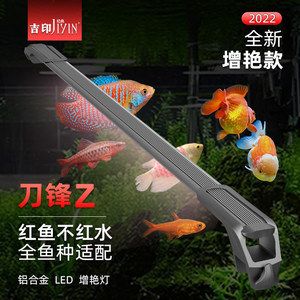 紅龍魚(yú)批發(fā)市場(chǎng)電話號(hào)碼