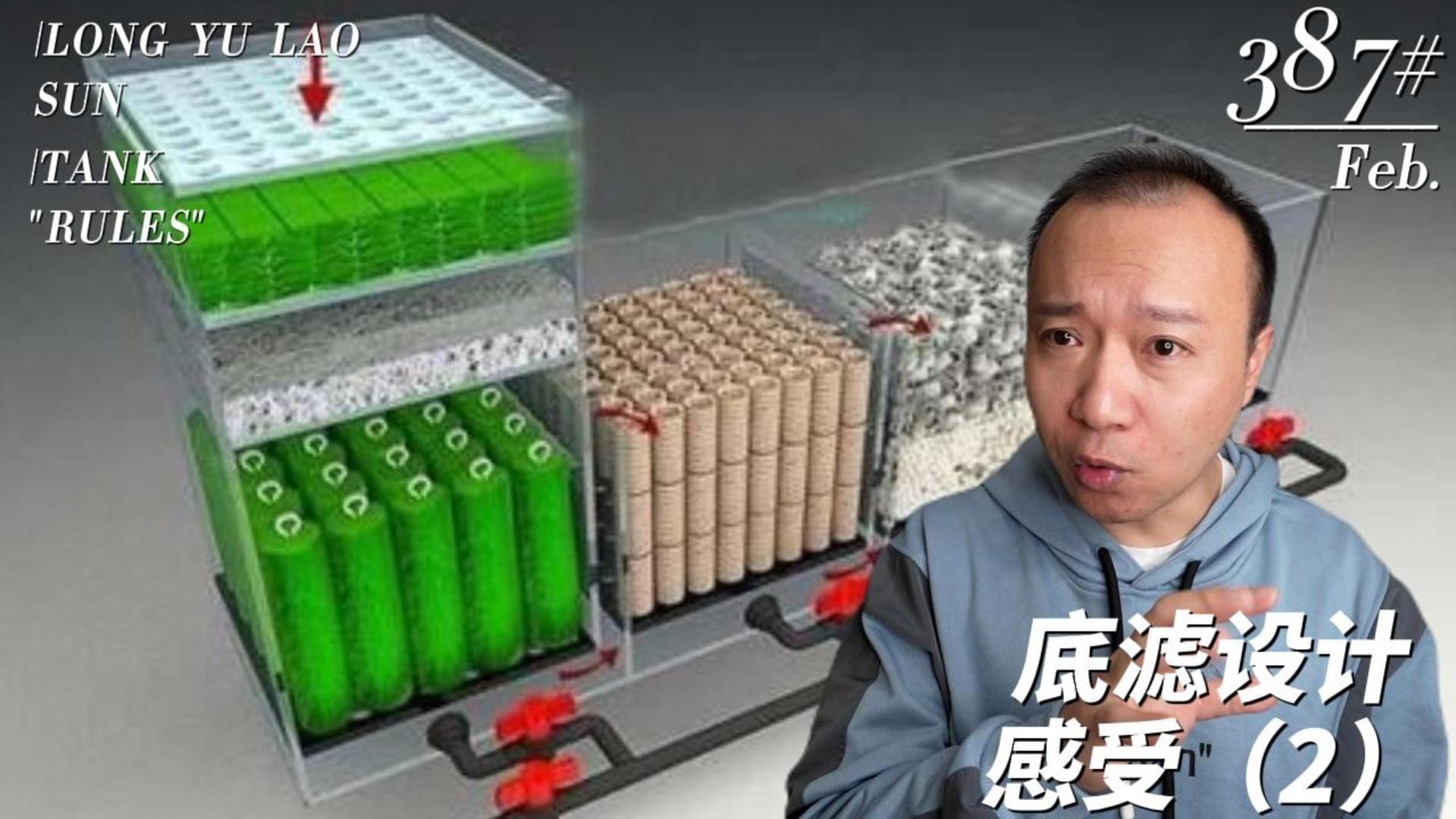 龍魚缸過濾系統(tǒng)的最佳設置
