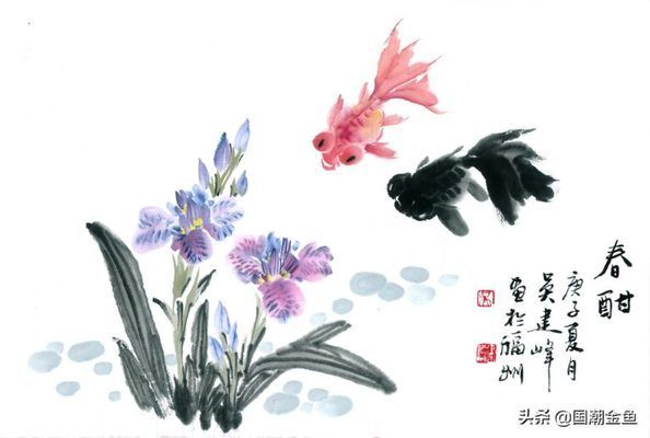 金龍魚分幾個(gè)品種：金龍魚品種間遺傳差異探究金龍魚品種間遺傳差異