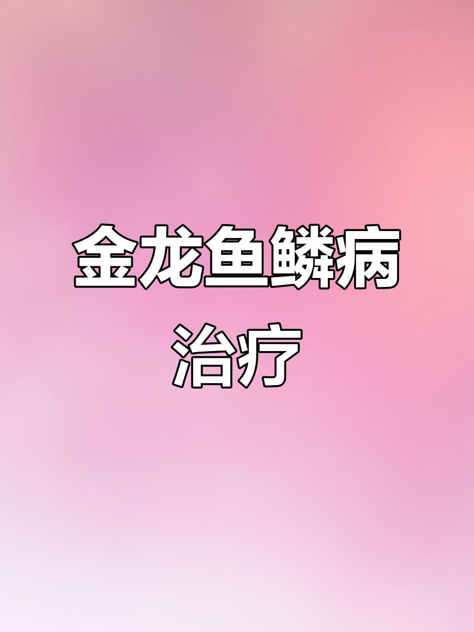 過(guò)背金龍珠鱗增亮有藥物嗎？