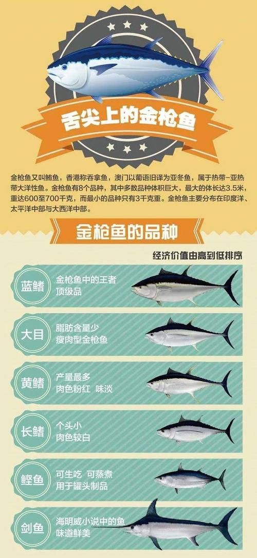 藍鰭和黃鰭金槍魚圖片