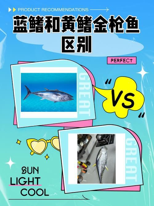 藍鰭和黃鰭金槍魚圖片