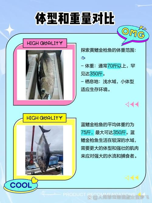 藍鰭和黃鰭金槍魚圖片