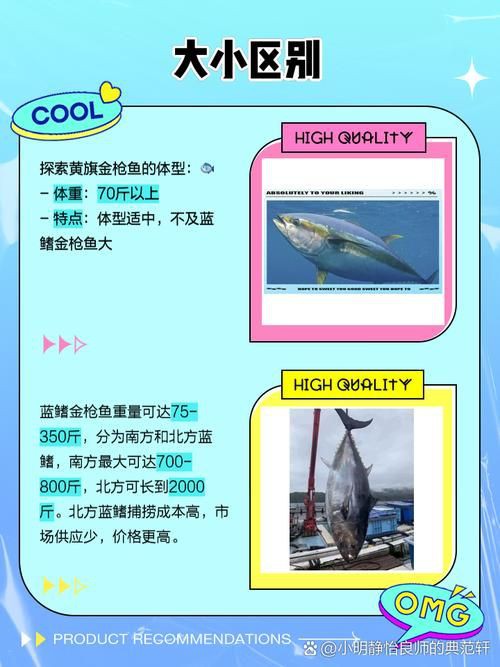 藍鰭和黃鰭金槍魚圖片