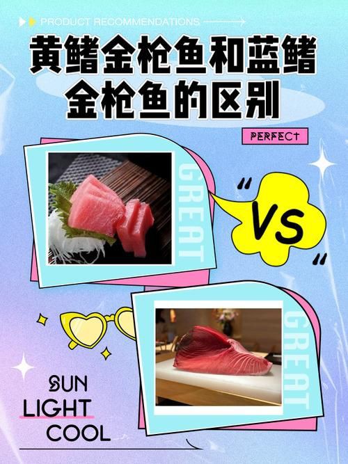 藍鰭和黃鰭金槍魚圖片