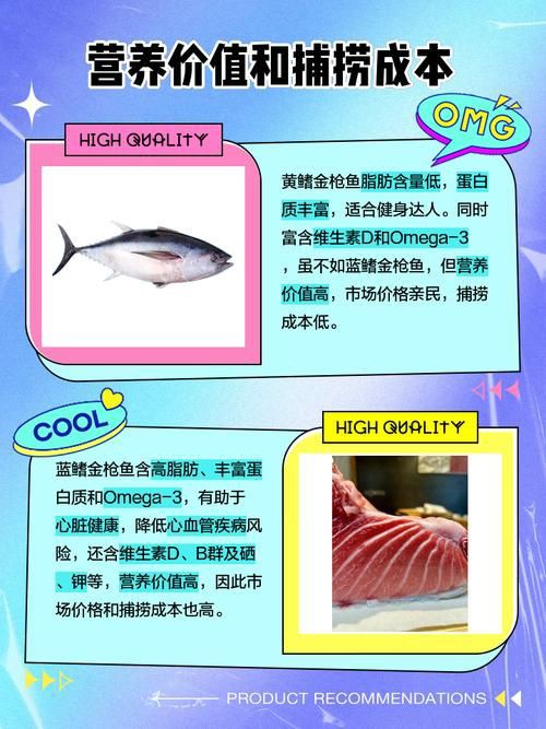 藍鰭和黃鰭金槍魚圖片
