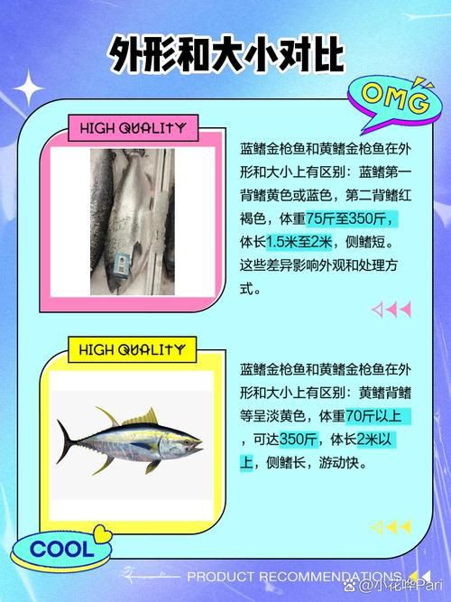 藍鰭和黃鰭金槍魚圖片