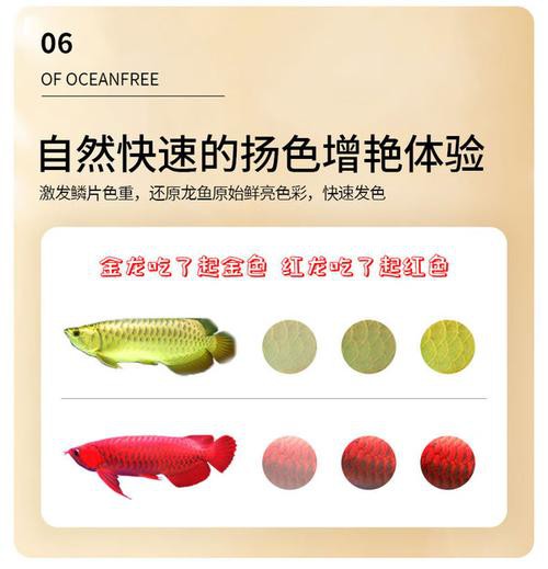 紅龍魚飼料配方比例表圖片