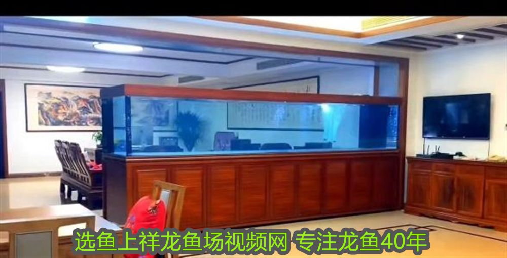 龍魚要多少度水溫才能活下來：龍魚要多少度水溫才能活？全面解析龍魚水溫需求與養護技巧