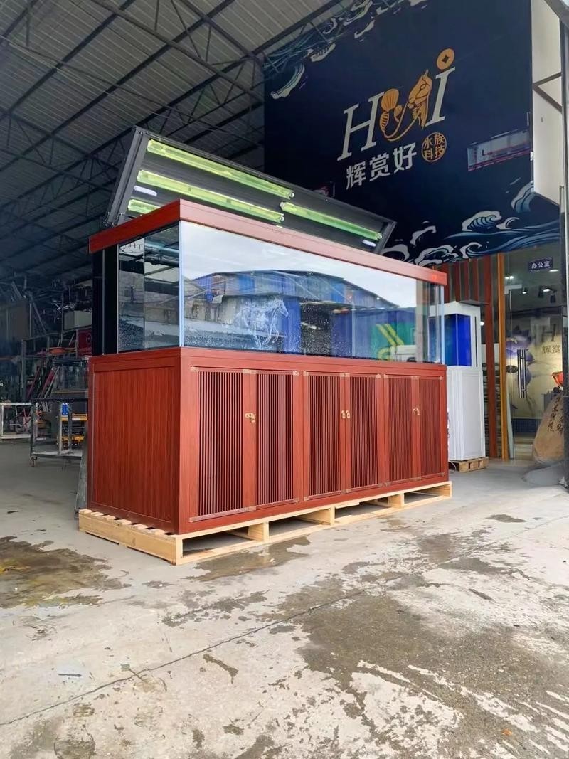 龍魚虎魚混養視頻大全圖片欣賞