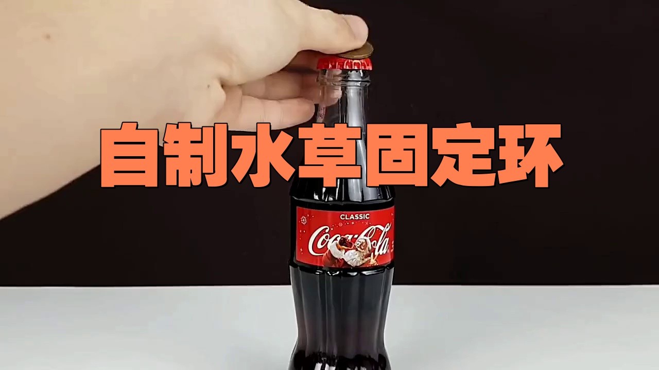 如何固定水草在龍魚缸中？ 如何固定水草在龍魚缸中？ 龍魚百科 第3張