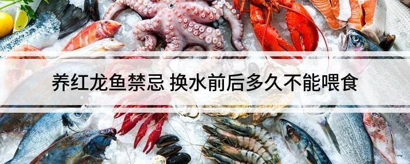 龍魚駝背治療期間需要禁食嗎？
