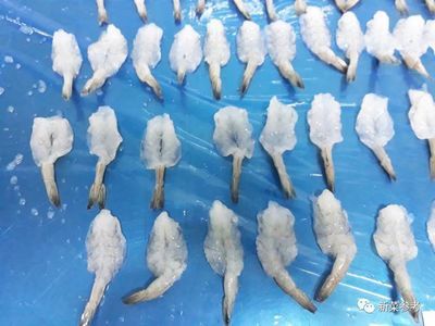 龍魚的種類與鑒別：-龍魚吃凍蝦的保存技巧，龍魚吃凍蝦會著涼嗎