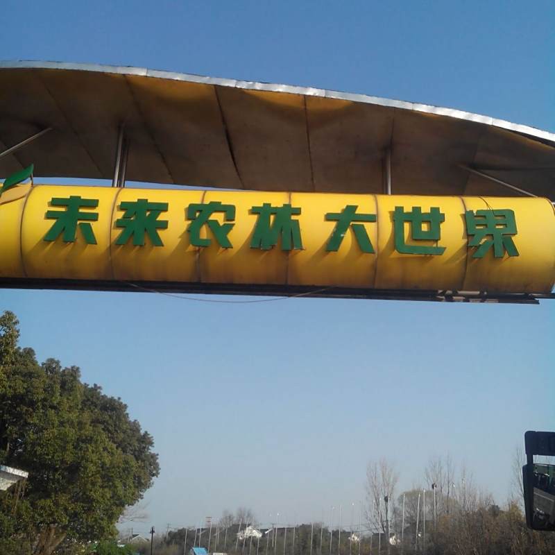 蘇州哪里有賣龍魚(yú)的地方啊視頻