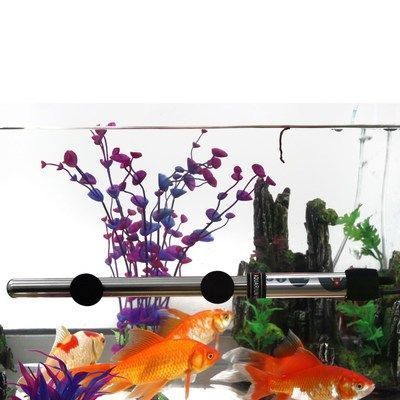 麻醉龍魚時(shí)如何控制水溫：如何在麻醉龍魚時(shí)控制水溫