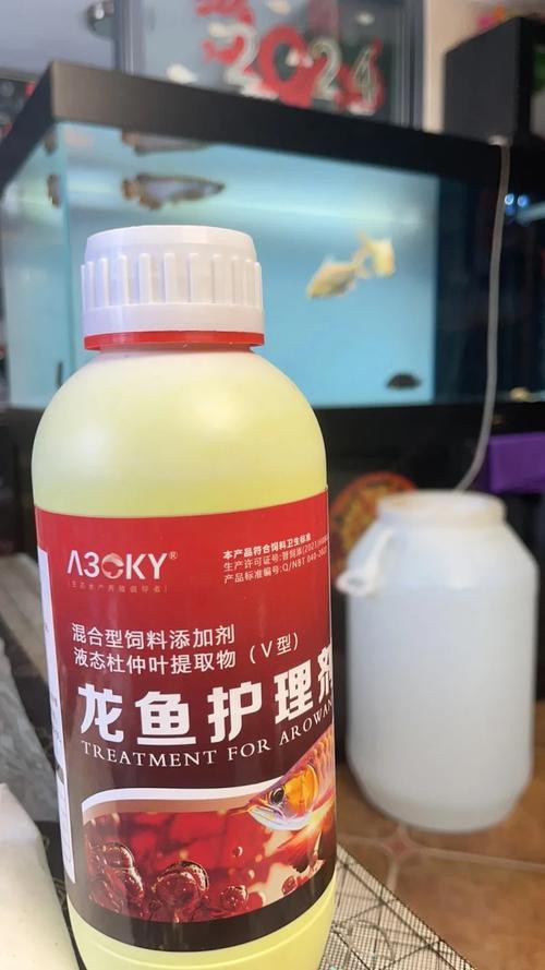 養龍魚放什么藥水最好