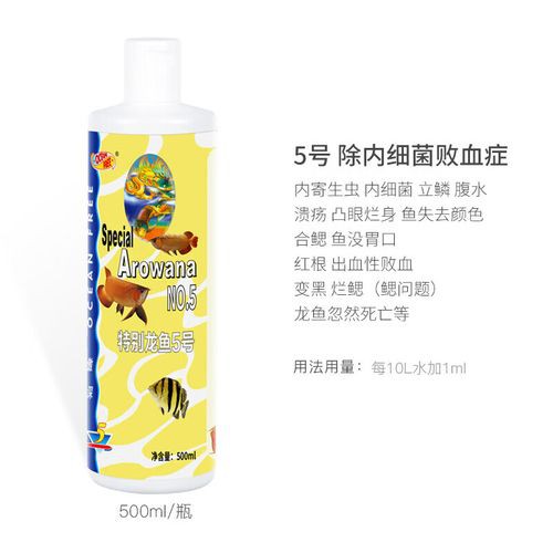 養龍魚放什么藥水最好