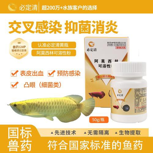養龍魚放什么藥水最好
