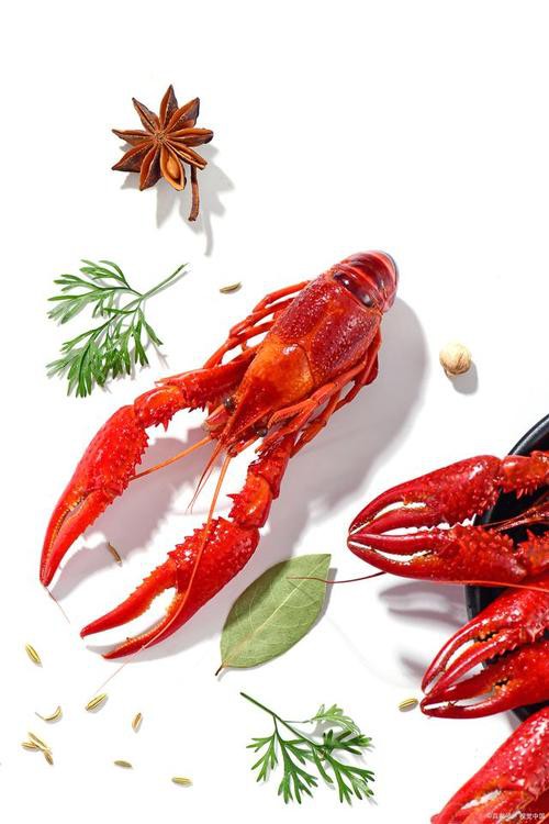 有沒有高清的小龍蝦壁紙？