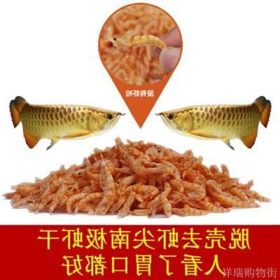 龍魚吃魚糧嗎：如何判斷龍魚是否挑食