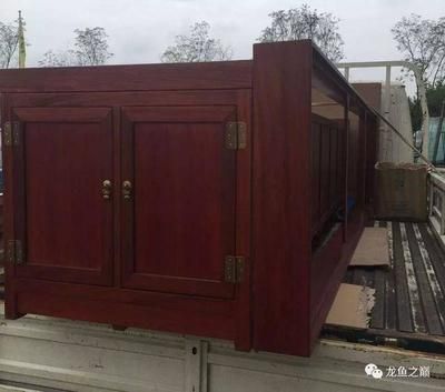 愛龍仕龍魚：關于愛龍仕魚缸的一些評價