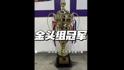 世界龍魚大賽：世界龍魚大賽評判標準