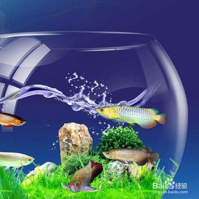 魚缸水變渾濁的原因及解決辦法圖片大全（如何正確使用uv紫外線殺菌燈魚缸生物性混濁的處理方法）