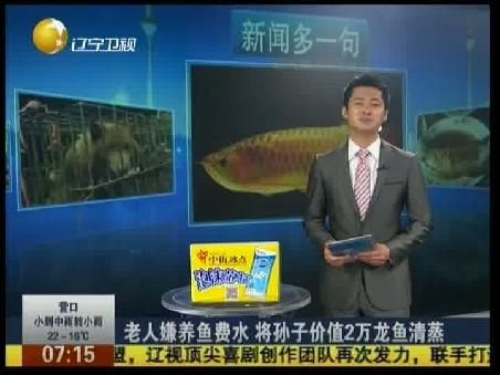 養(yǎng)龍魚的老孫子是誰：關(guān)于養(yǎng)龍魚的“老孫子”