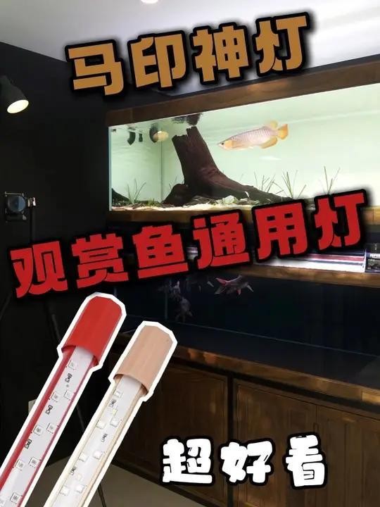 馬印側掛烤燈的具體價格是多少？