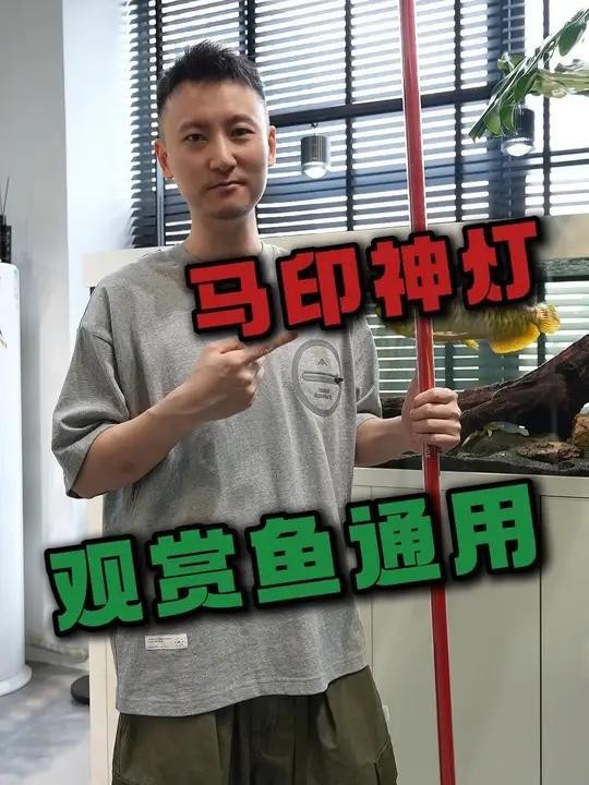 馬印側掛烤燈的具體價格是多少？