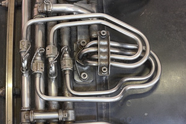 紅龍魚眼睛里有白色物體怎么辦圖片大全集（紅龍魚眼睛里有白色物體怎么辦圖片大全集）