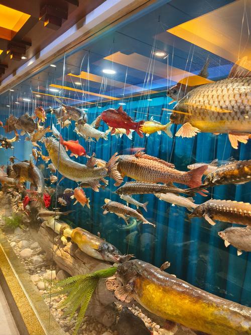 威海龍魚坊水族館怎么樣啊