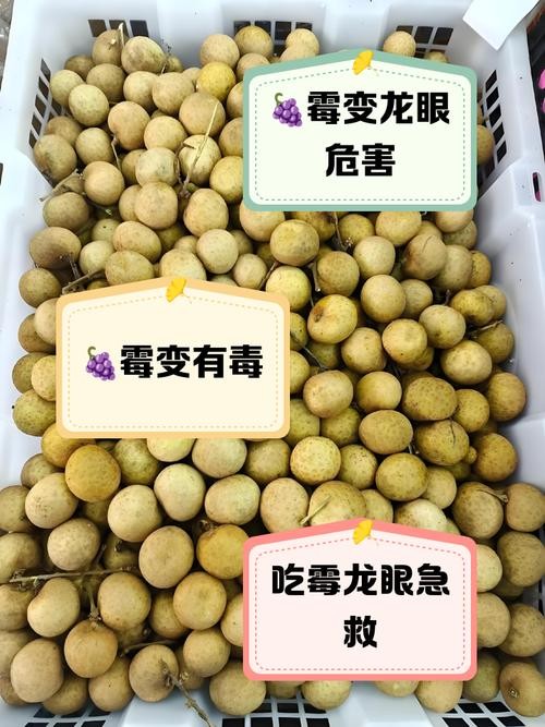 龍眼起白霧后還能保存多久？