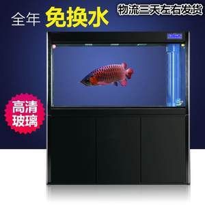 靠近魚缸龍魚就跳躍：龍魚為什么會跳出魚缸？