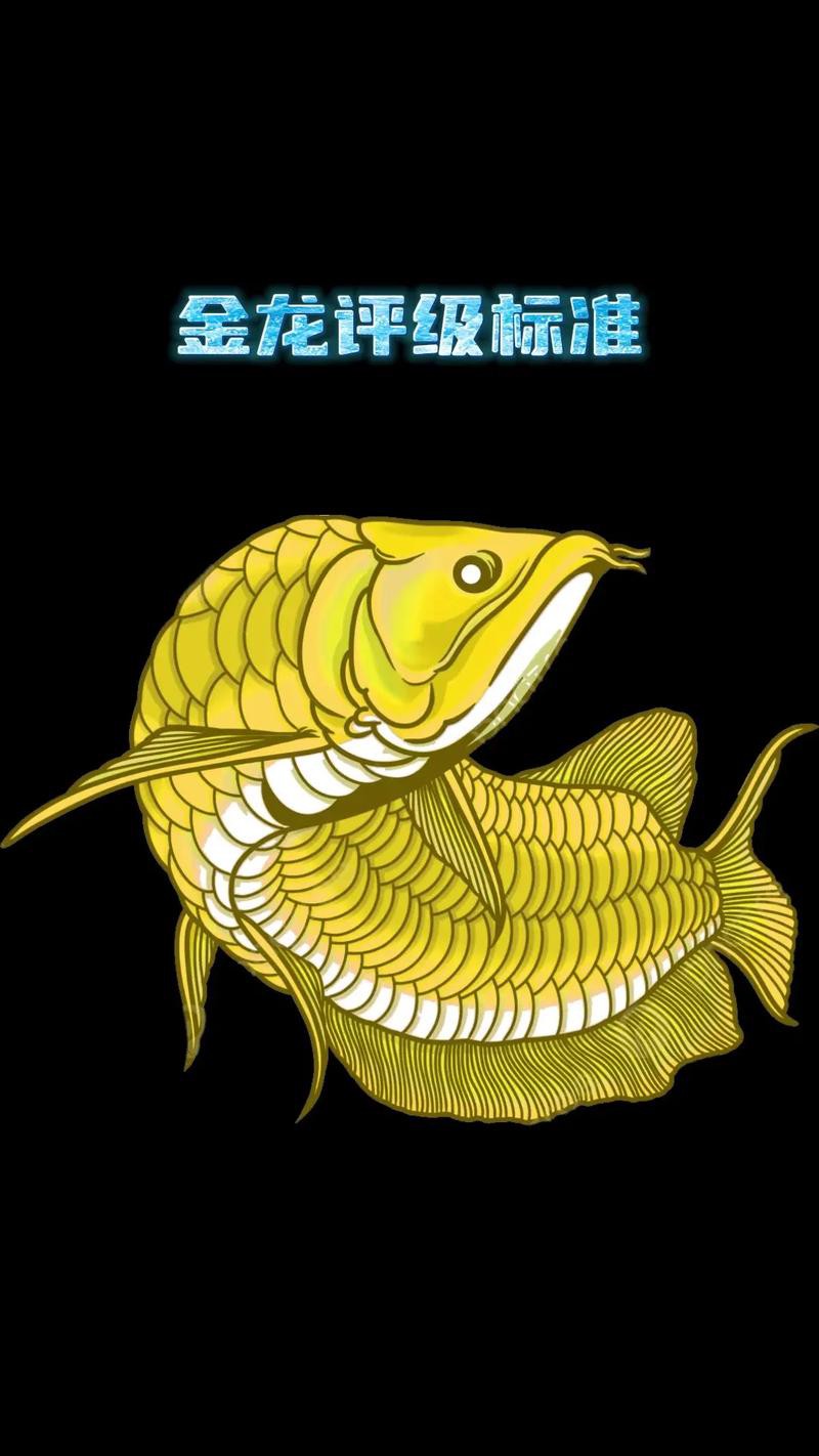 給我一張金龍魚發(fā)色過程分析圖