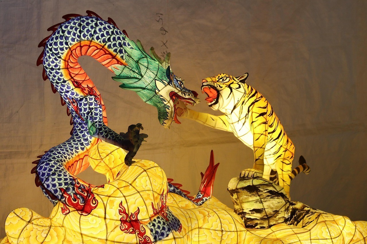好養(yǎng)的雷龍魚(yú)品種（哪些雷龍魚(yú)是比較好養(yǎng)的？）