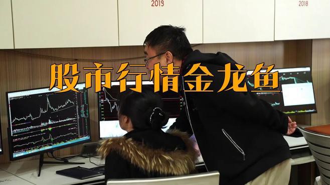 金龍魚市場行情近期走勢如何？