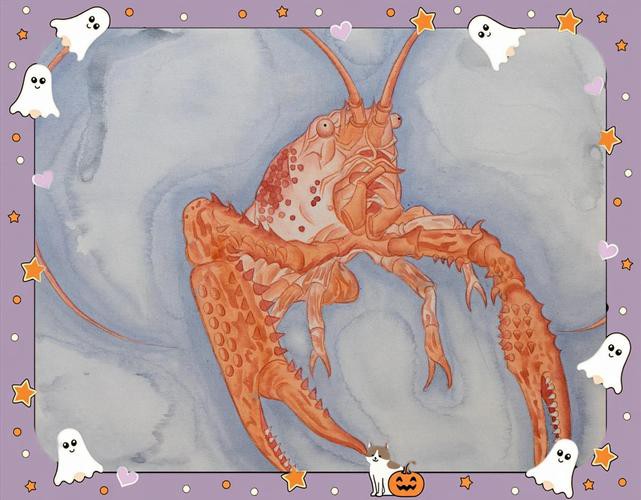 和田玉龍魚圖片大全