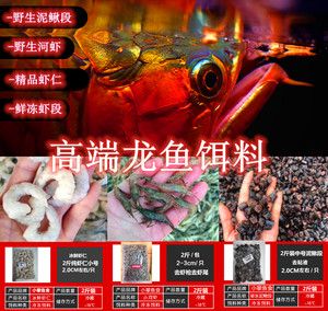 龍魚魚食品牌介紹文案：bessn南極磷蝦龍魚飼料的用戶評價(jià)