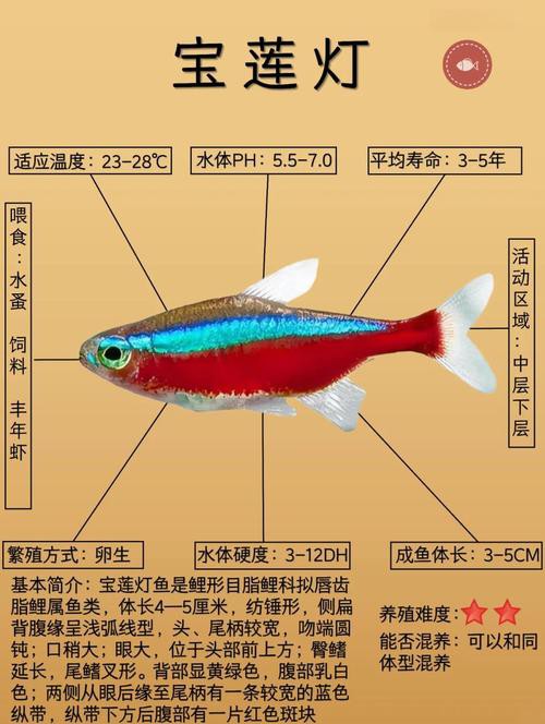 金龍魚燈光選擇圖解