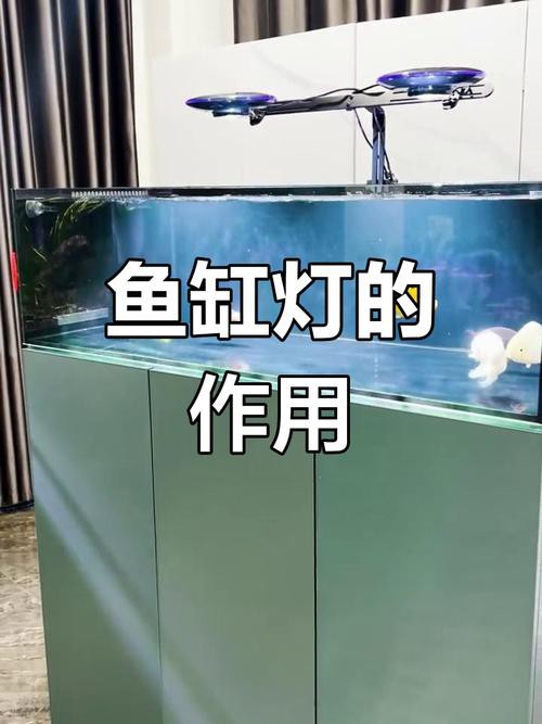 金龍魚燈光選擇圖解