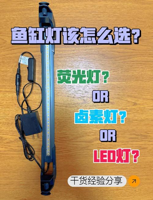 金龍魚燈光選擇圖解