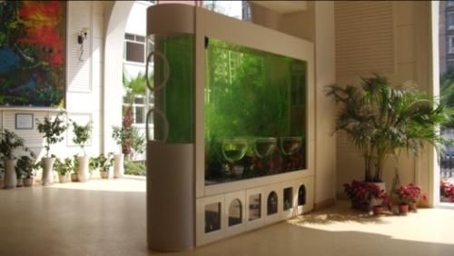 超高負壓魚缸（超高負壓魚缸的市場售價）