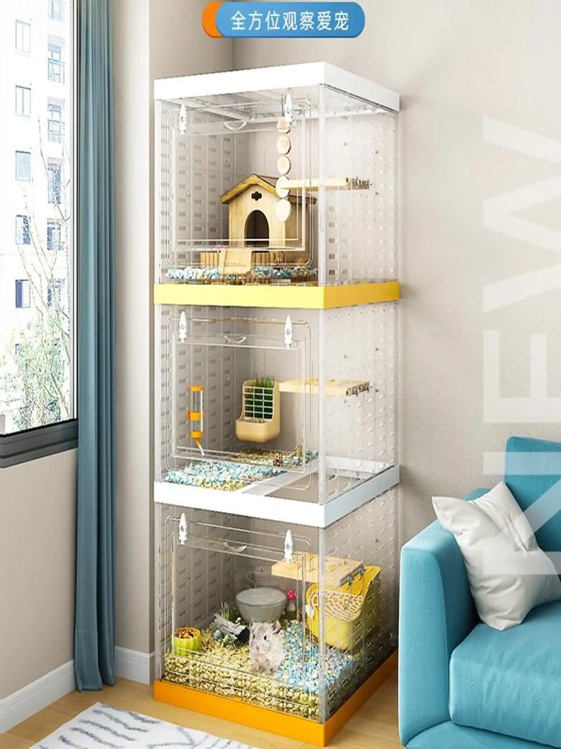 龍貓混養需要準備哪些設施？